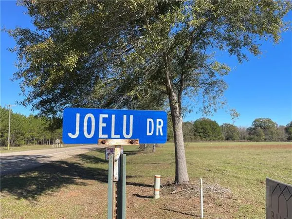 $27,213 | Lot 14 Joelu Drive, Franklinton, LA 70438