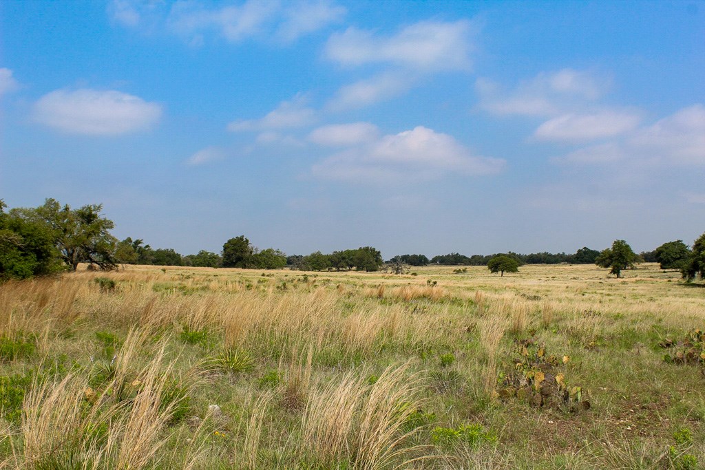 124 Lipan Loop Harper, TX 78631 - Photo 2 of 3