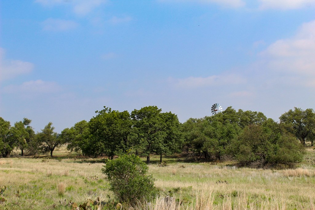 124 Lipan Loop Harper, TX 78631 - Photo 3 of 3