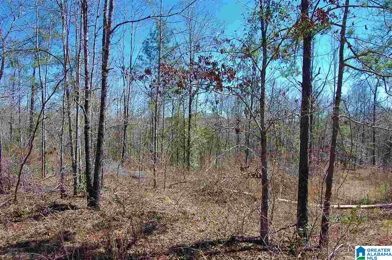 0 Melissa Robyn Road, Unit 1 Deatsville, AL 36022 - Photo 17 of 29
