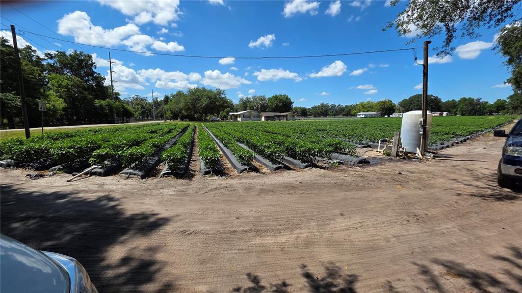 Gallagher Road Dover, FL 33527 - Photo 2 of 13 a view of a road with a big yard