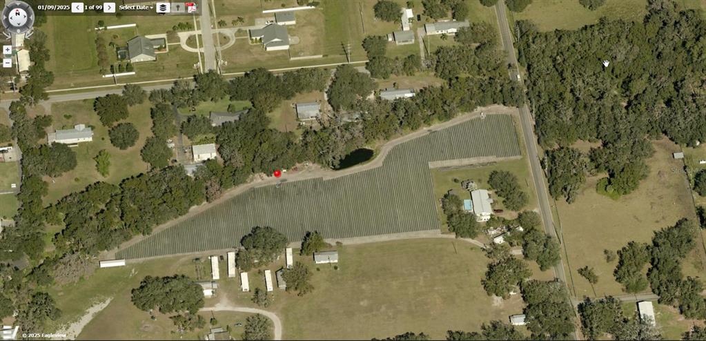 Gallagher Road Dover, FL 33527 - Photo 6 of 13 a view of swimming pool