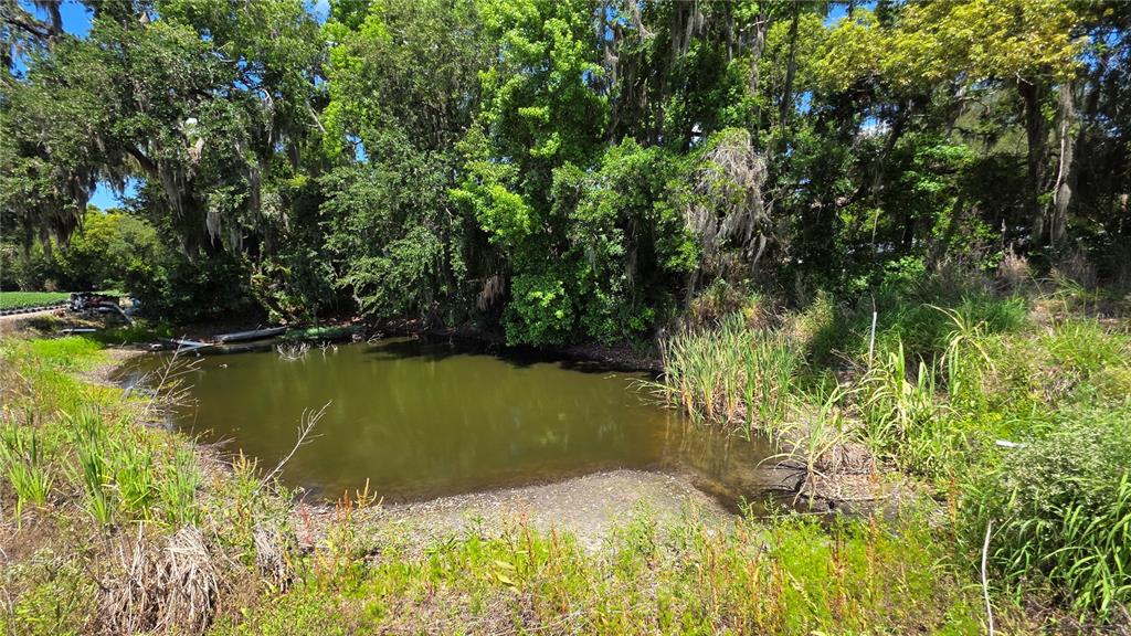 Gallagher Road Dover, FL 33527 - Photo 8 of 13 a view of a lake view