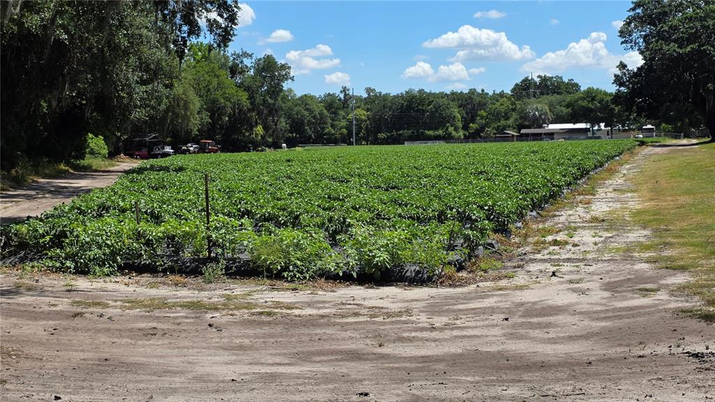 Gallagher Road Dover, FL 33527 - Photo 9 of 13 a view of a park