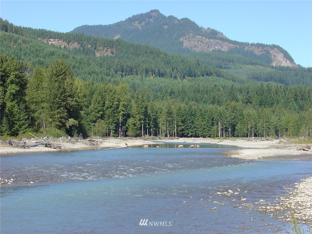 132 Blakely Road Randle, WA 98377 - Photo 1 of 9 Gallery Image 1