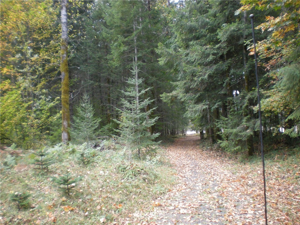 132 Blakely Road Randle, WA 98377 - Photo 2 of 9 Gallery Image 2