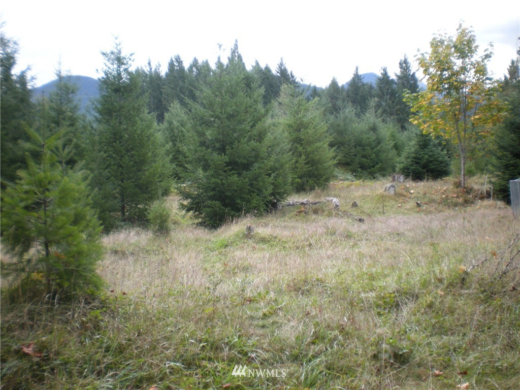 132 Blakely Road Randle, WA 98377 - Photo 5 of 9 Gallery Image 5