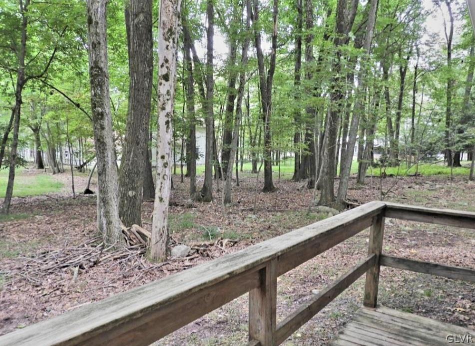 3110 Fern Road Pocono Summit, PA 18346 - Photo 19 of 20 a view of a forest with trees