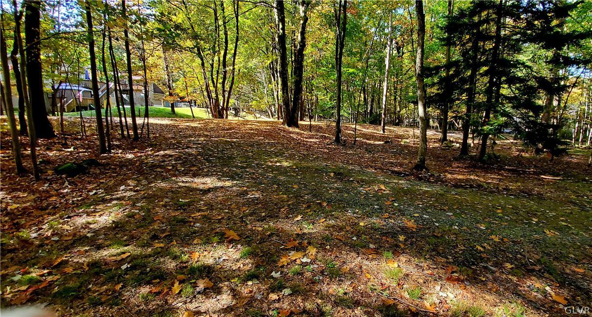 3110 Fern Road Pocono Summit, PA 18346 - Photo 20 of 20 a view of road with trees