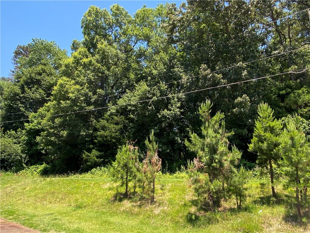1317 County Home Road Conover, NC 28613 - Photo 3 of 5 Gallery Image 3