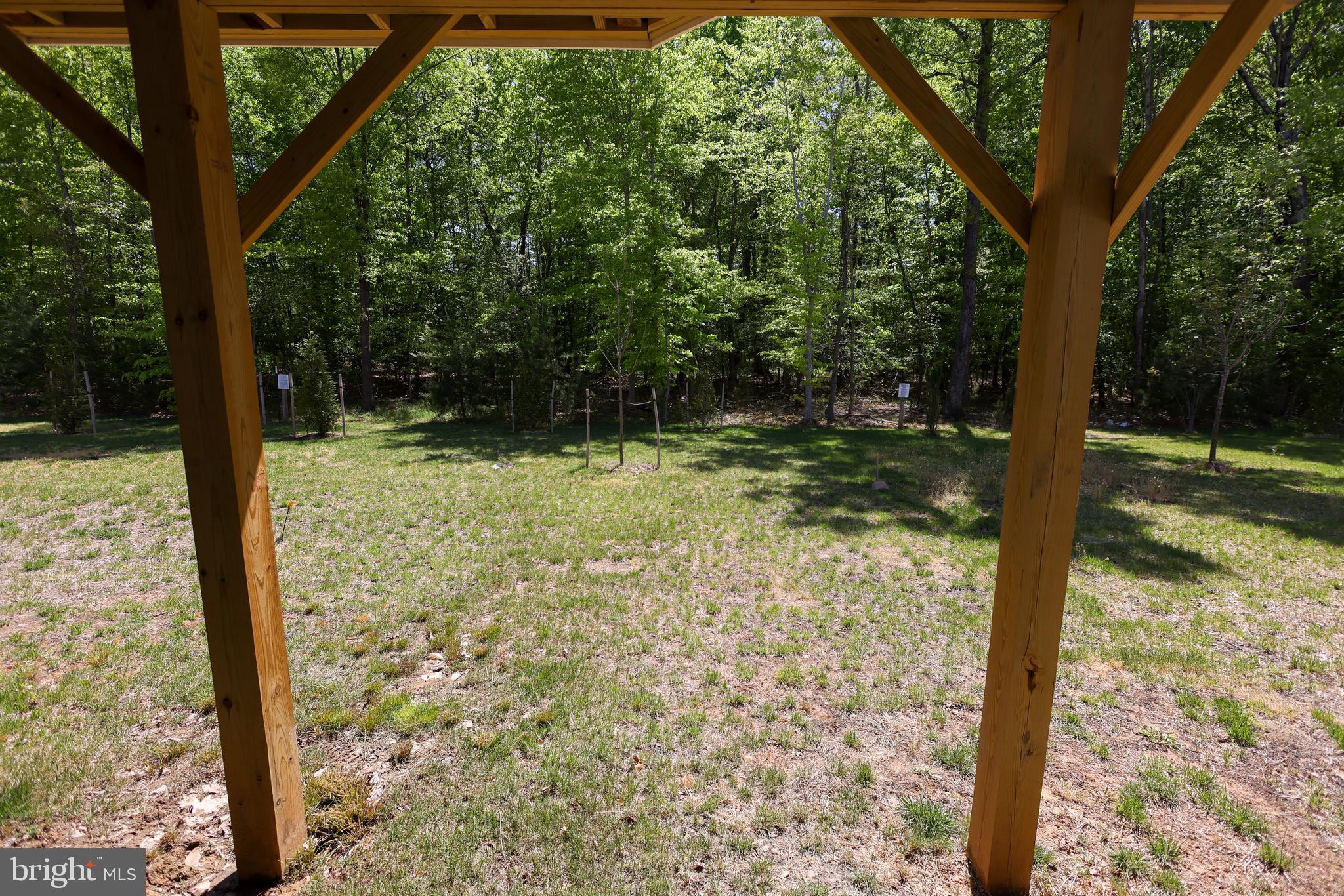 313 Buccoo Reef Loop Accokeek, MD 20607 - Photo 53 of 53 Backyard