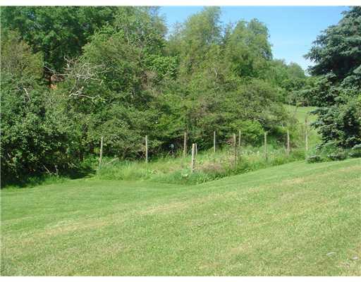 509 Mt Tabor Road Long Branch, PA 15423 - Photo 13 of 15 Land/Lot.