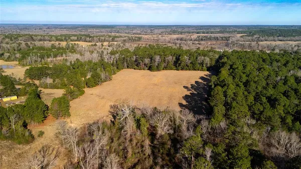 a view of a lake with a mountain in the background