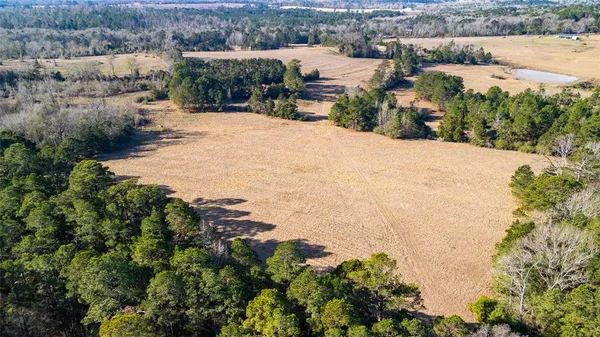 a view of city and ocean