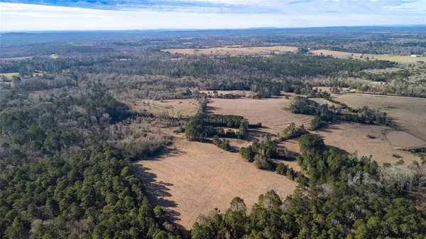 a view of city and mountain
