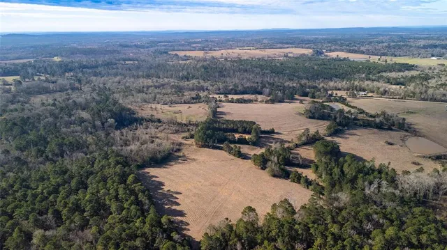 a view of city and mountain