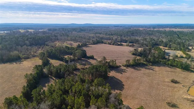 a view of a lake with a mountain