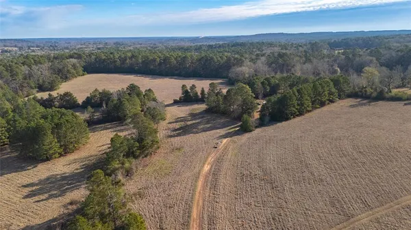 a view of a pathway with a yard