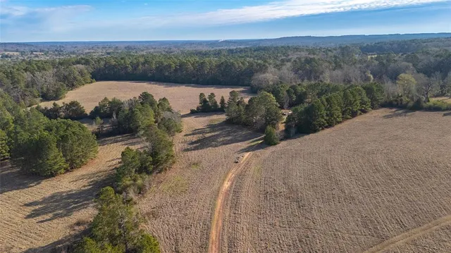 a view of a pathway with a yard