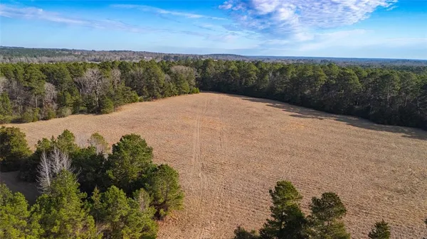 a view of a dry yard with trees