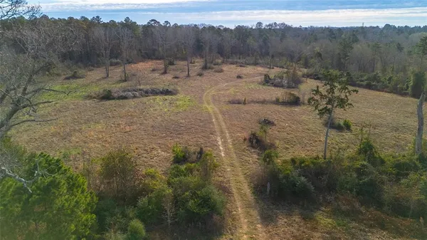 a backyard of a house with lots of trees