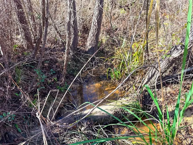 $720,000 | 0 Fm 95 Mount, Mount Enterprise, TX 75681