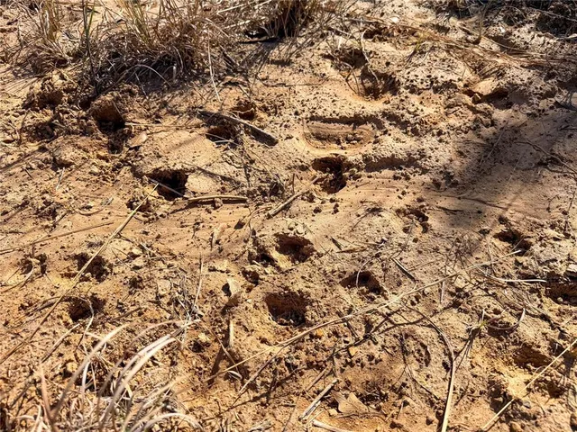 $720,000 | 0 Fm 95 Mount, Mount Enterprise, TX 75681