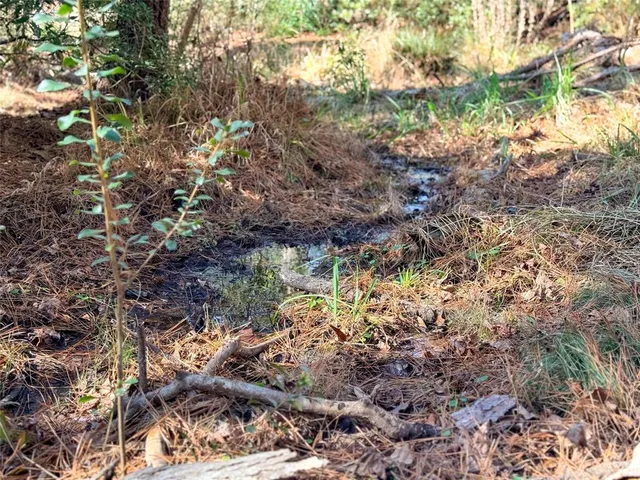 $720,000 | 0 Fm 95 Mount, Mount Enterprise, TX 75681