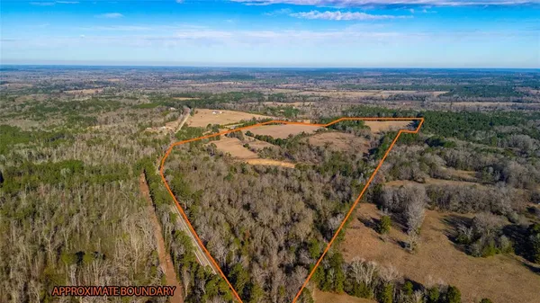 a view of a city with an ocean