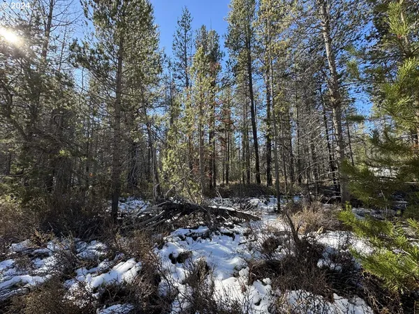 $17,000 | Cloudcap Drive, Chiloquin, OR 97624