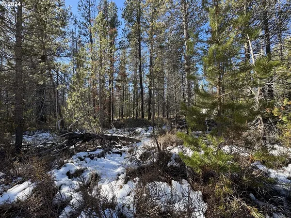 $17,000 | Cloudcap Drive, Chiloquin, OR 97624