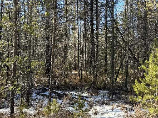 $17,000 | Cloudcap Drive, Chiloquin, OR 97624