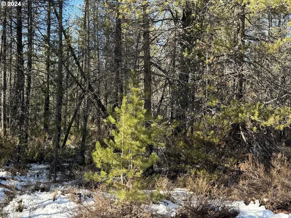 $17,000 | Cloudcap Drive, Chiloquin, OR 97624