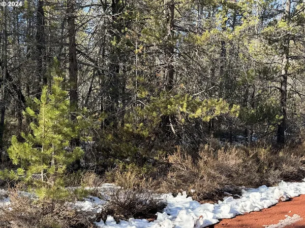 $17,000 | Cloudcap Drive, Chiloquin, OR 97624