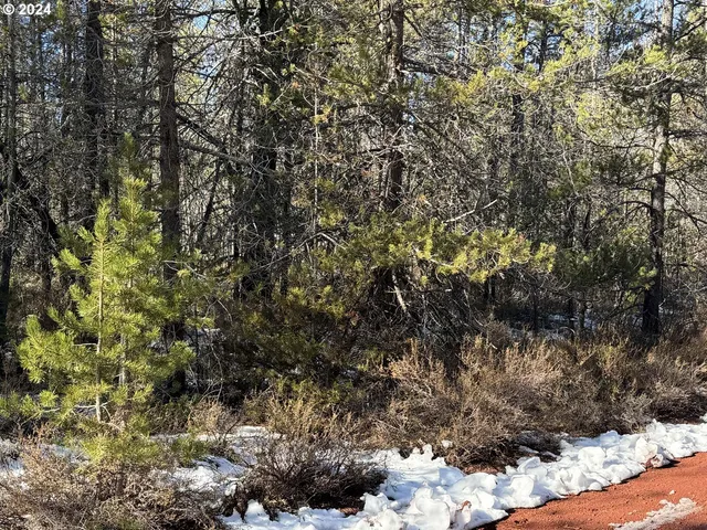 a view of a tree with a covered in between the side of a house