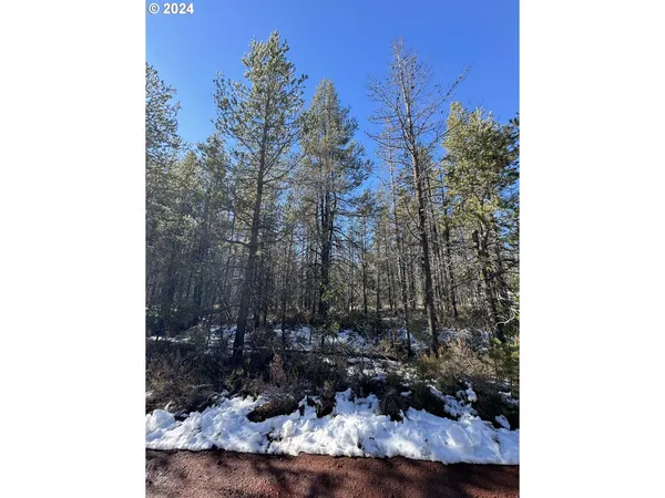 $17,000 | Cloudcap Drive, Chiloquin, OR 97624