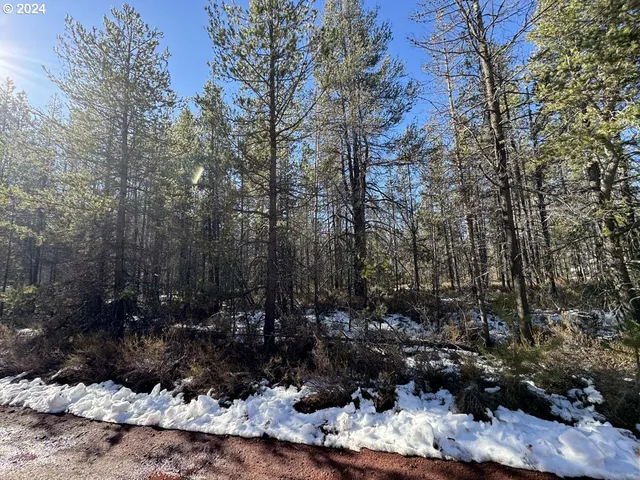 a view of outdoor space and a forest