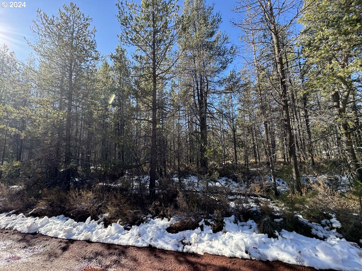 Cloudcap Drive Chiloquin, OR 97624 - Photo 8 of 15 a view of outdoor space and a forest