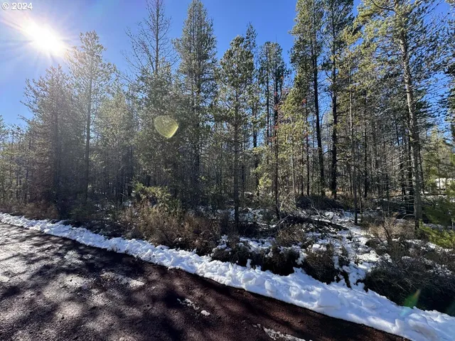 a view of a garden with a tree