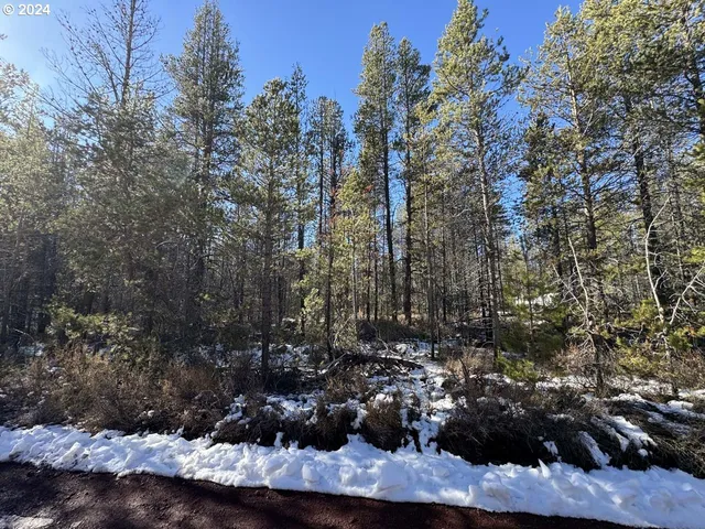 a view of a tree in a yard