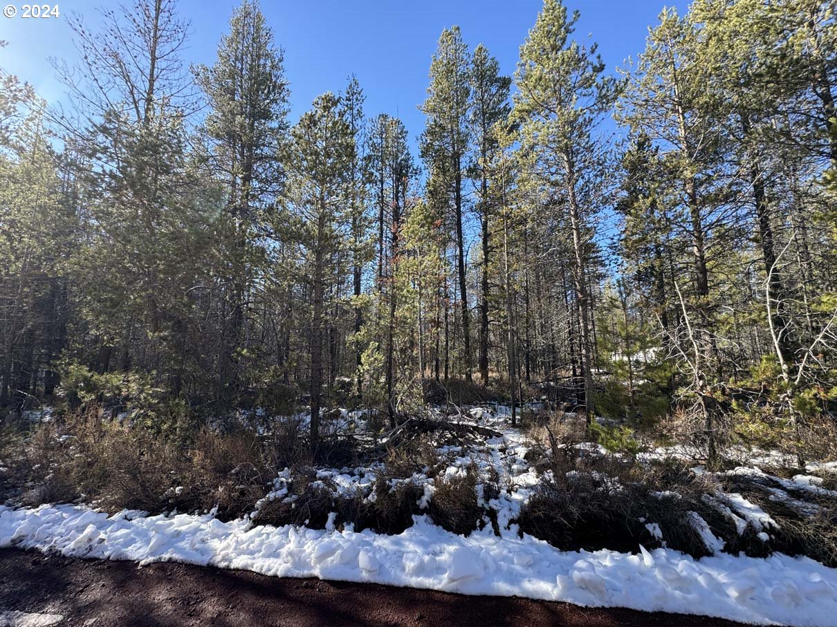 Cloudcap Drive Chiloquin, OR 97624 - Photo 10 of 15 a view of a tree in a yard
