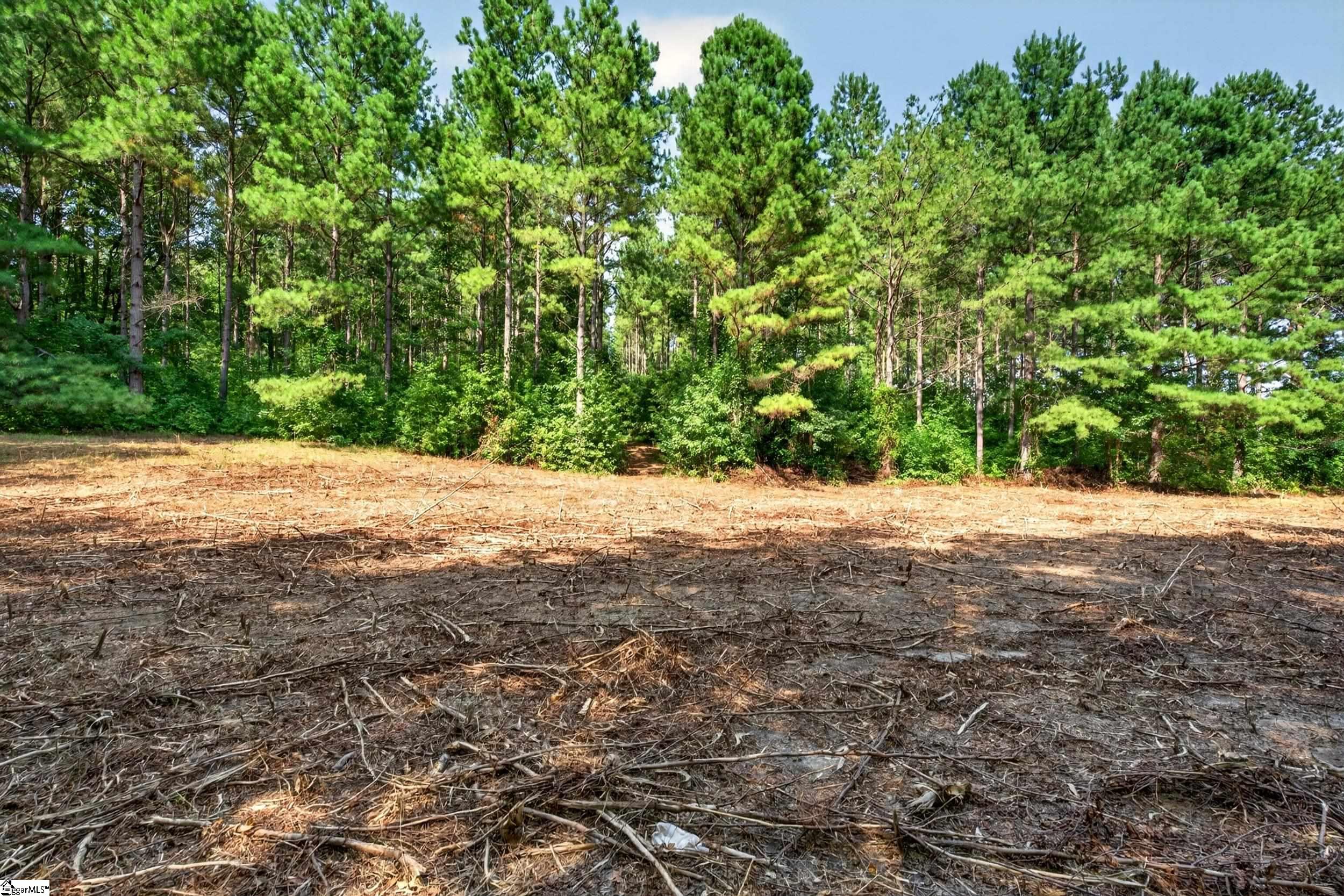 0 Todd Road Honea Path, SC 29654 - Photo 12 of 26 Gallery Image 12