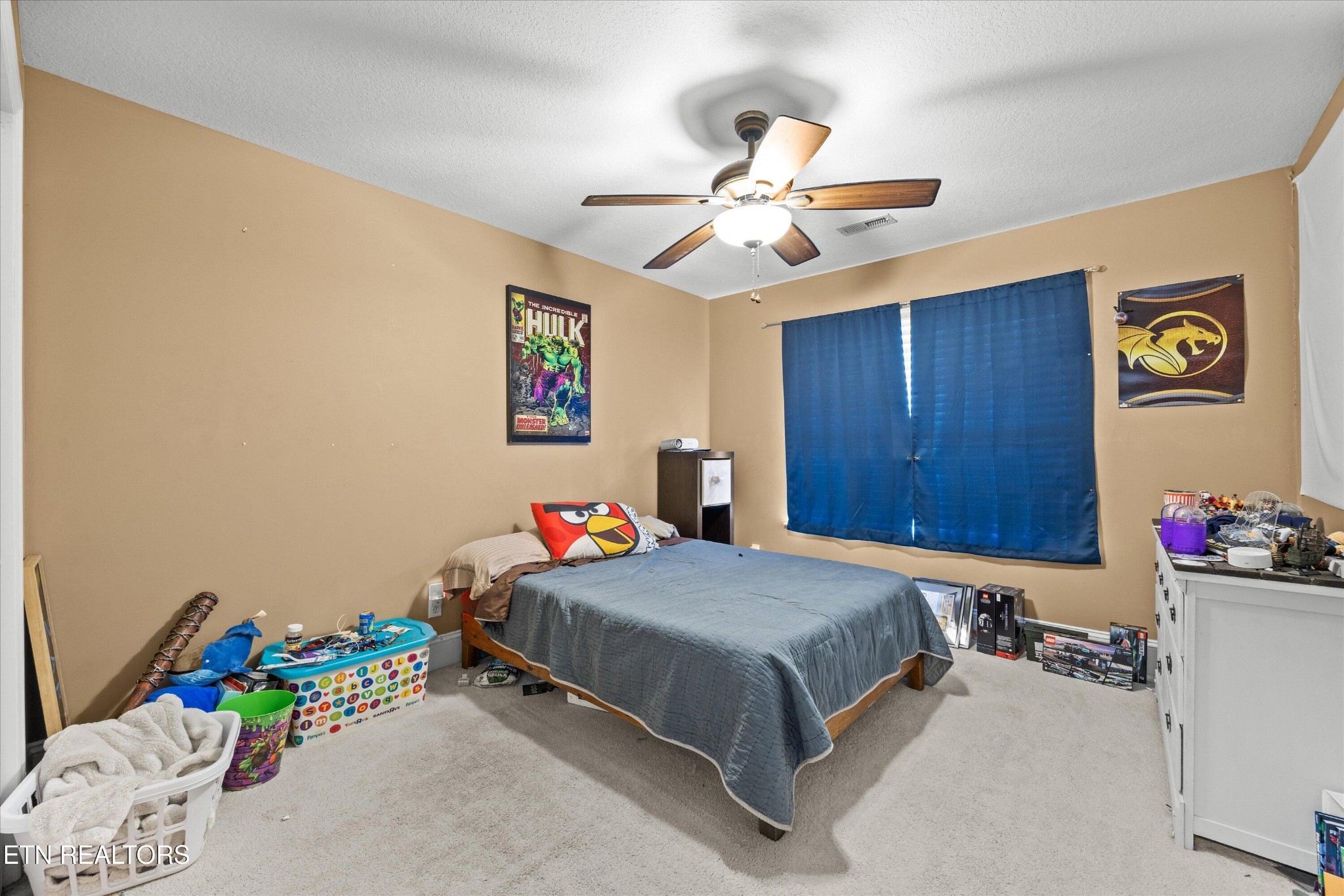 172 Huntington Lane Heiskell, TN 37754 - Photo 14 of 29