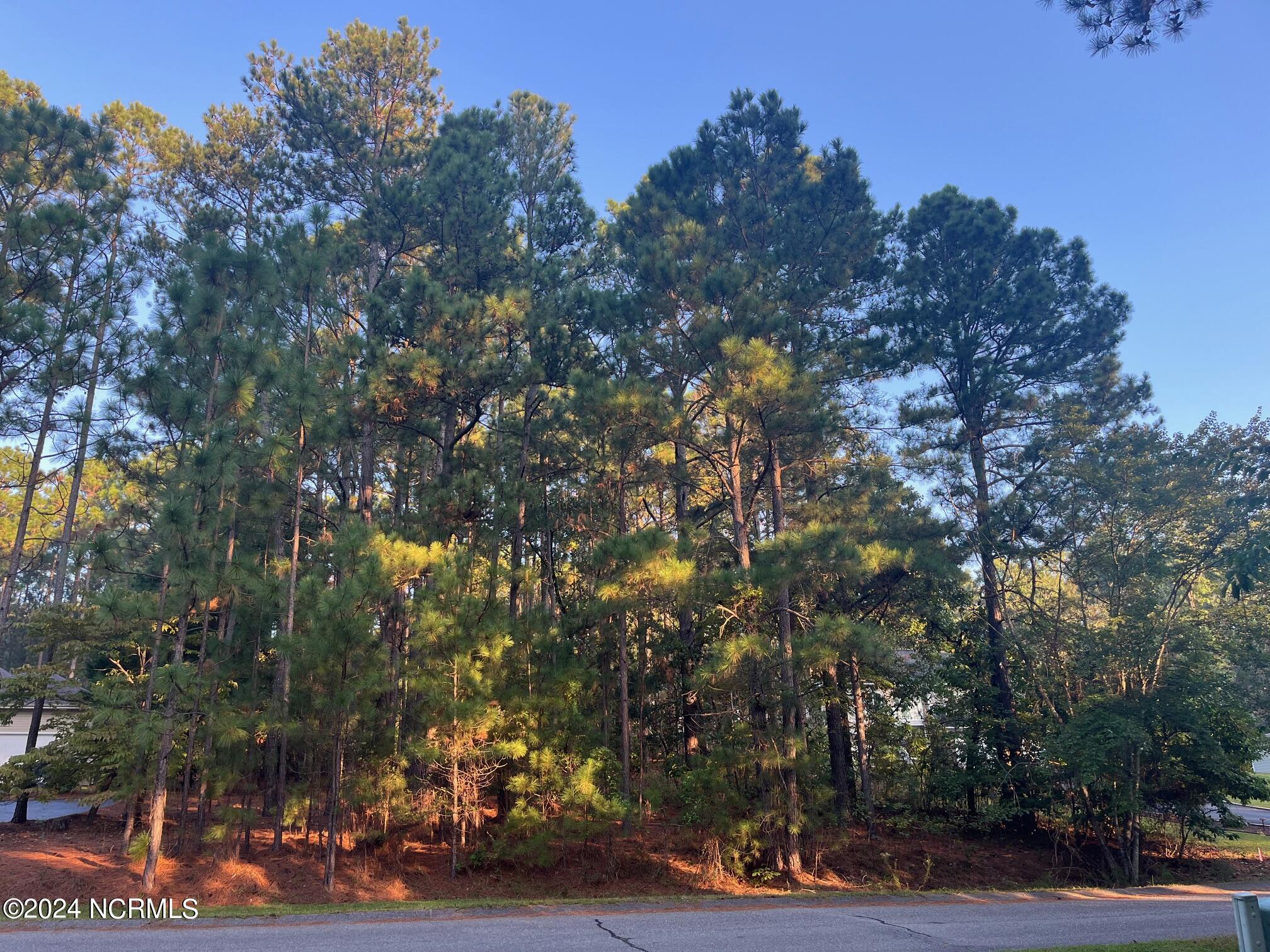 Streetview