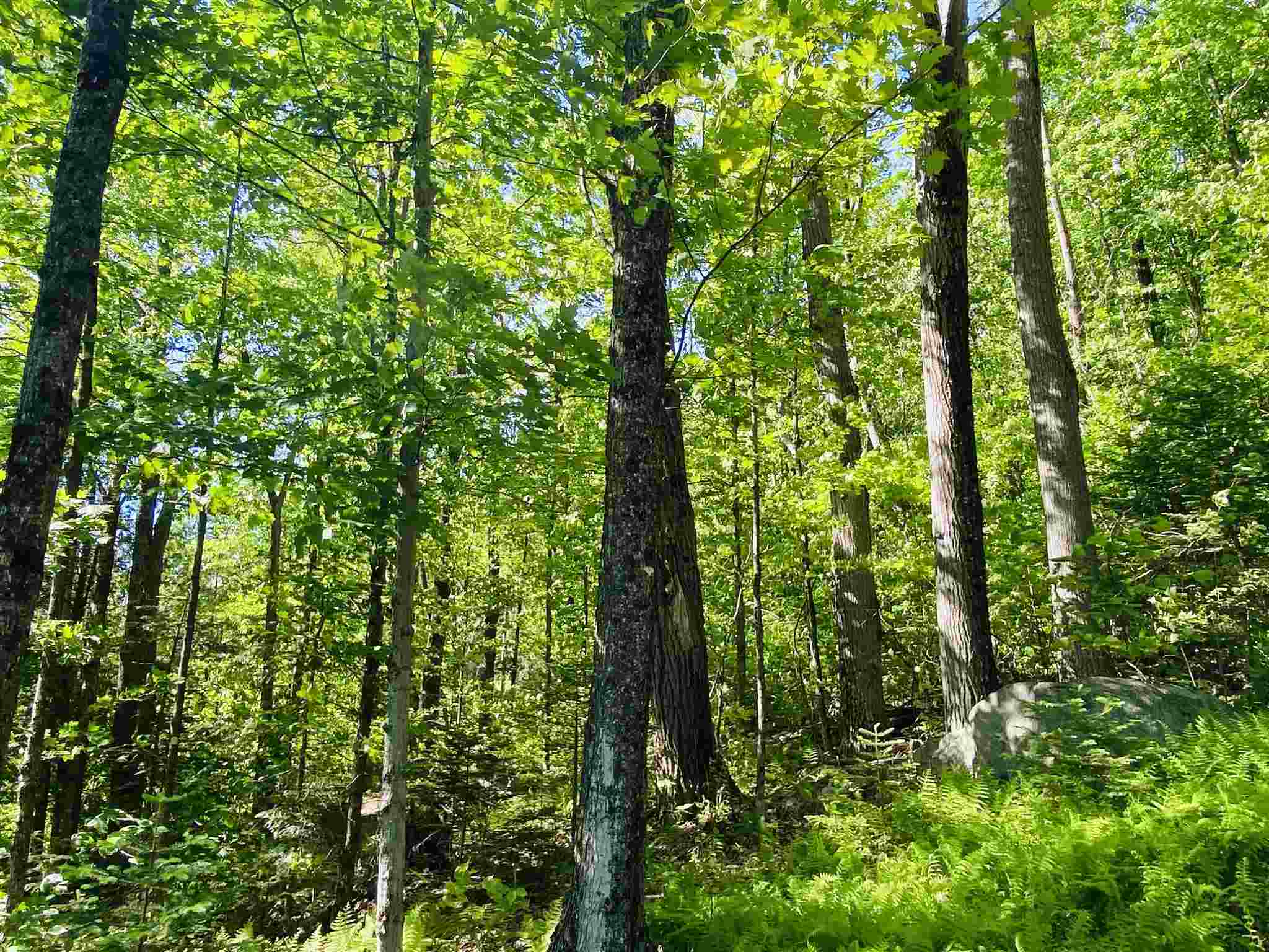 294 Daniels Pond Road Glover, VT 05839 - Photo 29 of 32 Gallery Image 29
