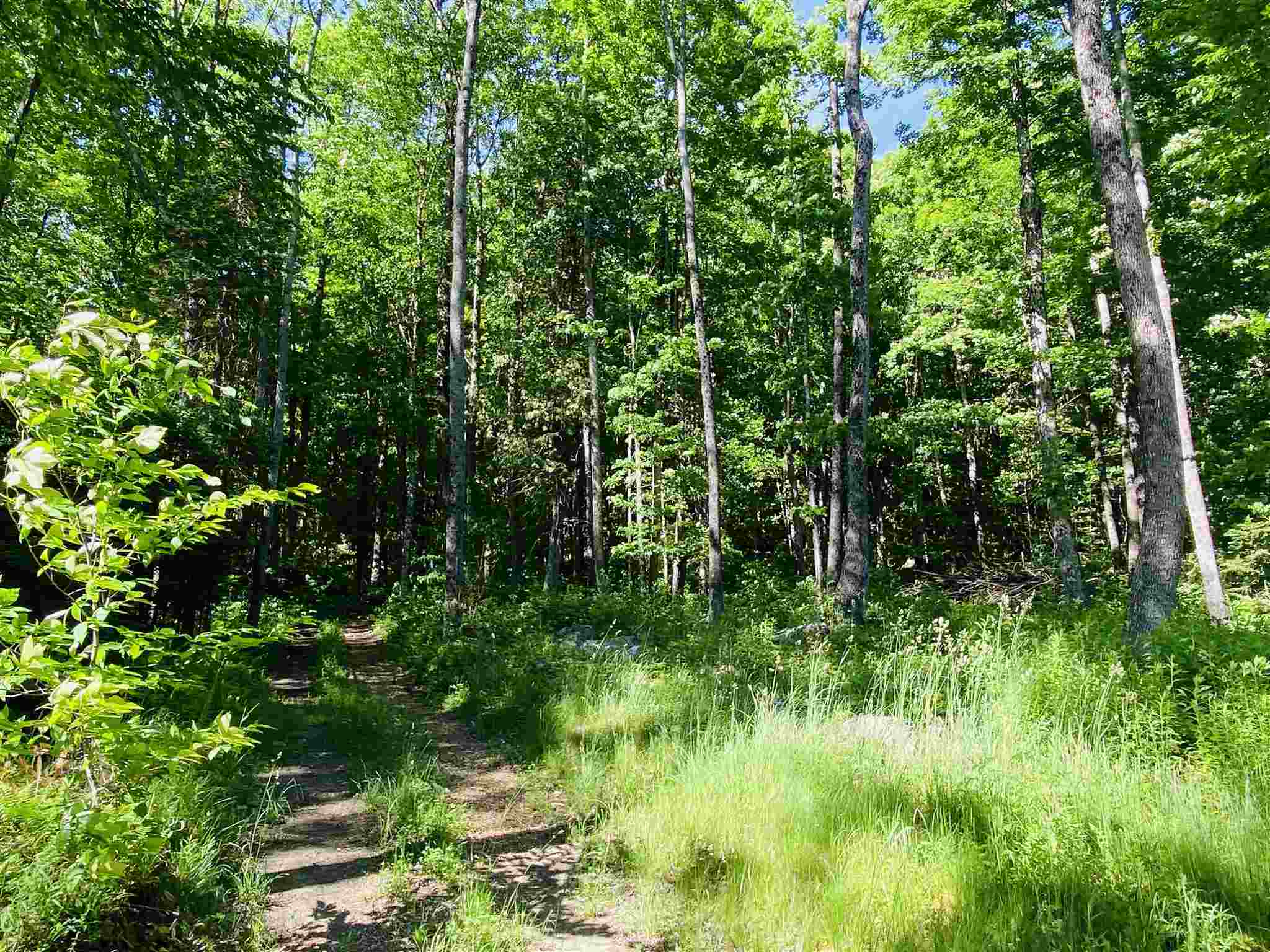 294 Daniels Pond Road Glover, VT 05839 - Photo 31 of 32 Gallery Image 31