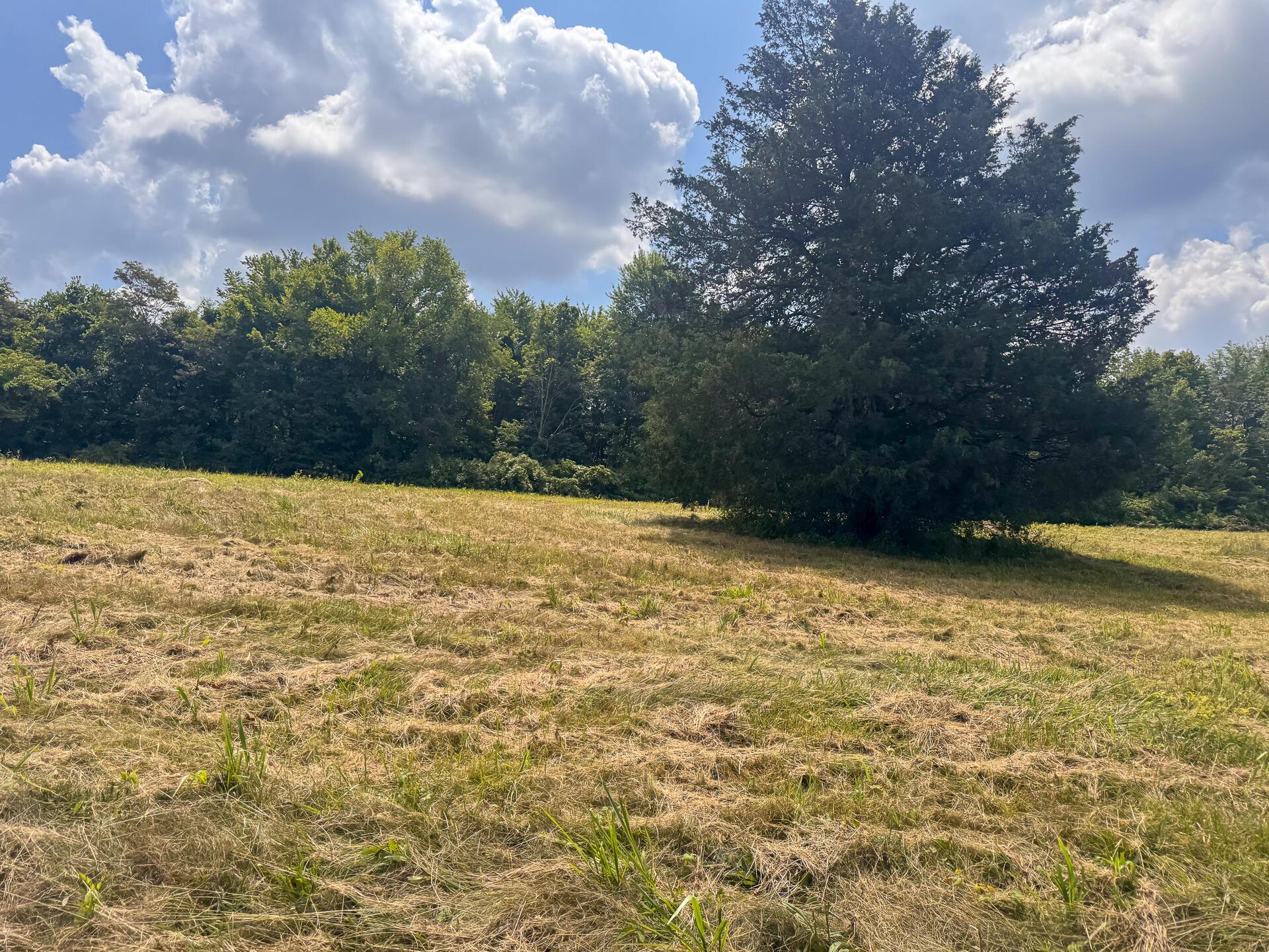 272 Golf Course Road, Unit TRACT 8 SKYLINEACRES) Waverly, OH 45690 - Photo 19 of 40 CT-19