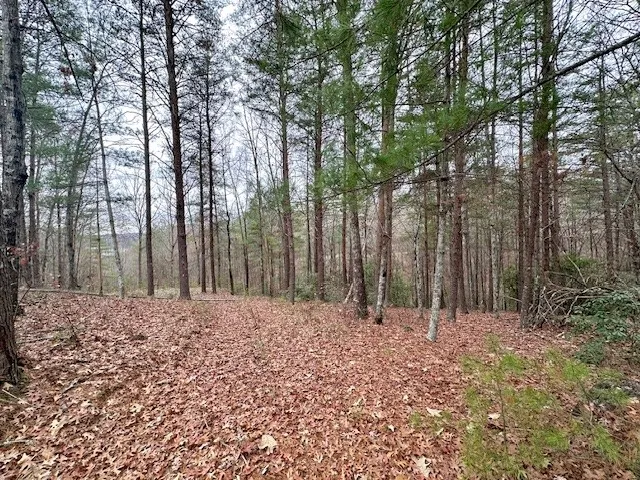$25,000 | Lot 160 Keowee Vineyard Drive, Sunset, SC 29685