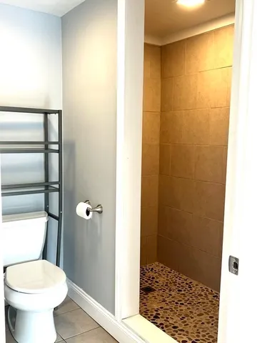 a bathroom with a shower and a toilet