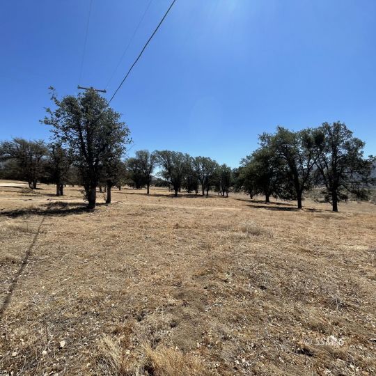 Sample Road Caliente, CA 93518 - Photo 2 of 9